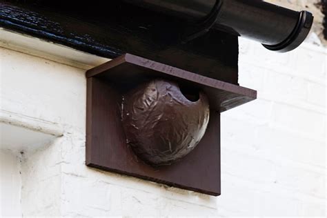 metal bird nest box|artificial house martin nest boxes.